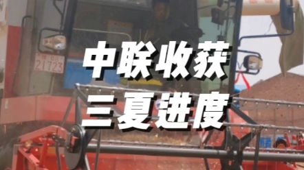 2023年三夏麦收整体进度，河南进入麦收阶段
