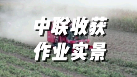 中联收获2022款4HJL-6型花生收获机作业实景