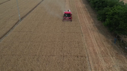 2023年中联收获谷物联合收获机，花生收获机、玉米收获机分别