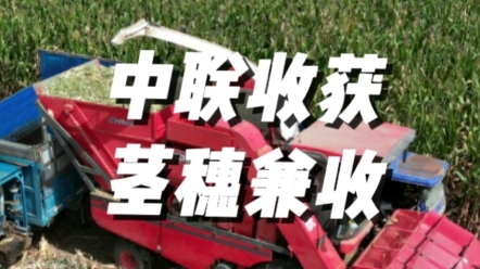 中联收获4YZJ-4茎穗兼收玉米收获机视频展示