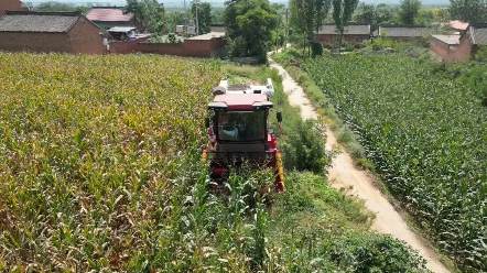 在此双节假期期间，中联收获服务不停歇，秋收保障不打样，为用户