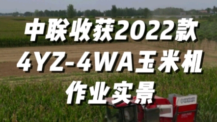 中联收获2022款4YZ-4WA玉米收获机作业实景