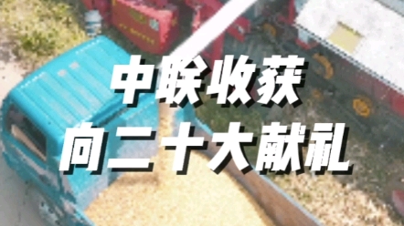 中联收获为农业服务，向二十大献礼