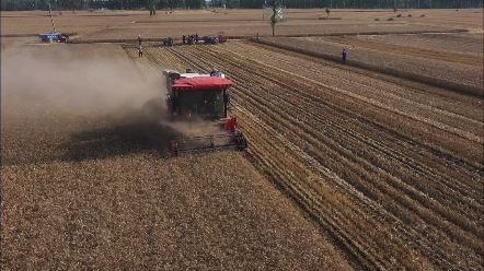 热烈庆祝中联收获谷物联合收获机再度批量出口刚果金