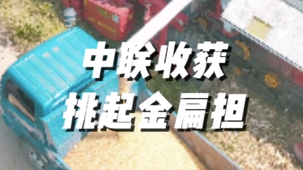 中联收获挑起农业现代化的金扁担