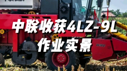 中联收获新疆9L（4LZ-9L）作业实景