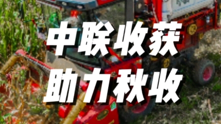 中联收获助力秋收颗粒归仓，让祖国大粮仓更加充盈